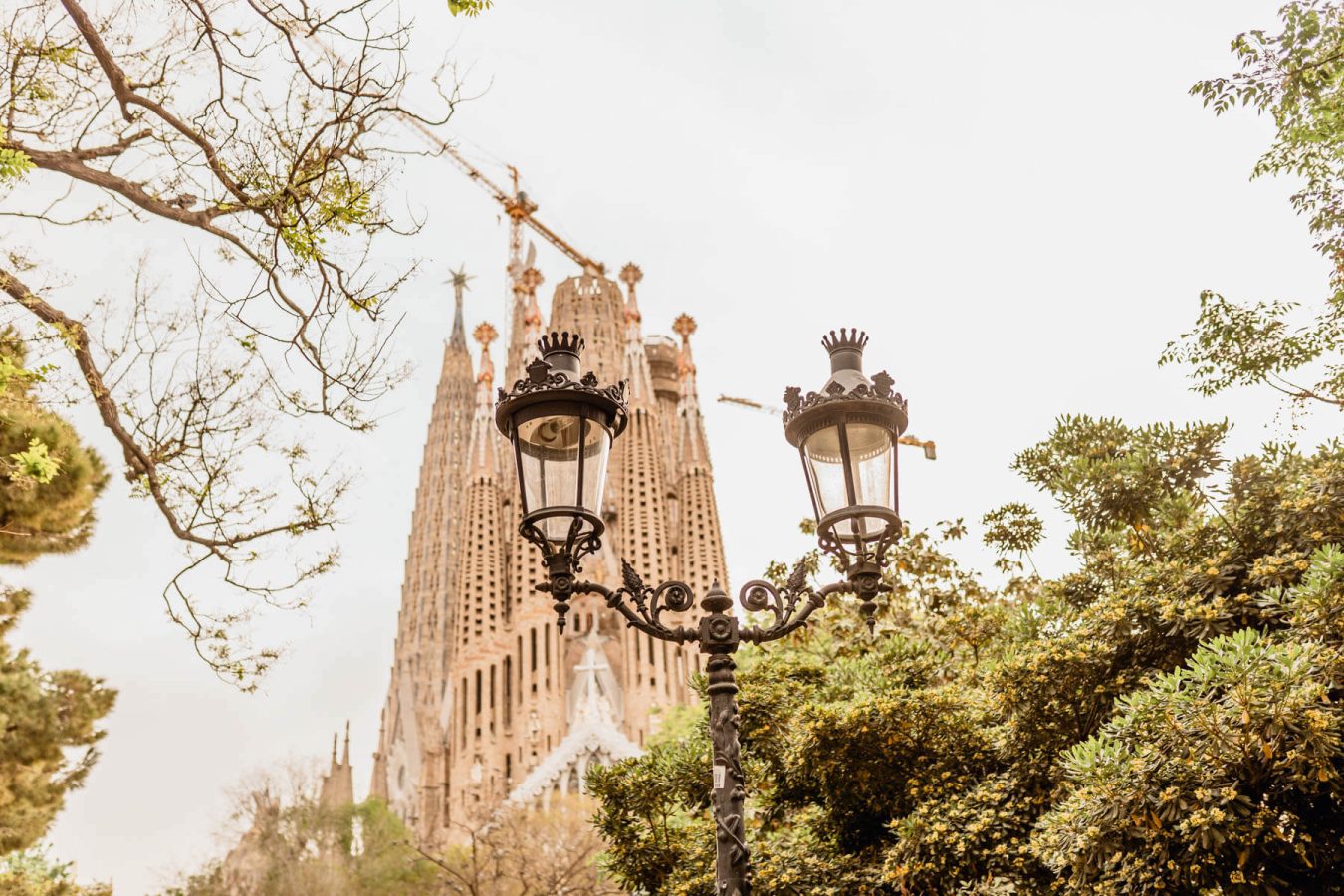 Pedida de mano fotografo Barcelona
